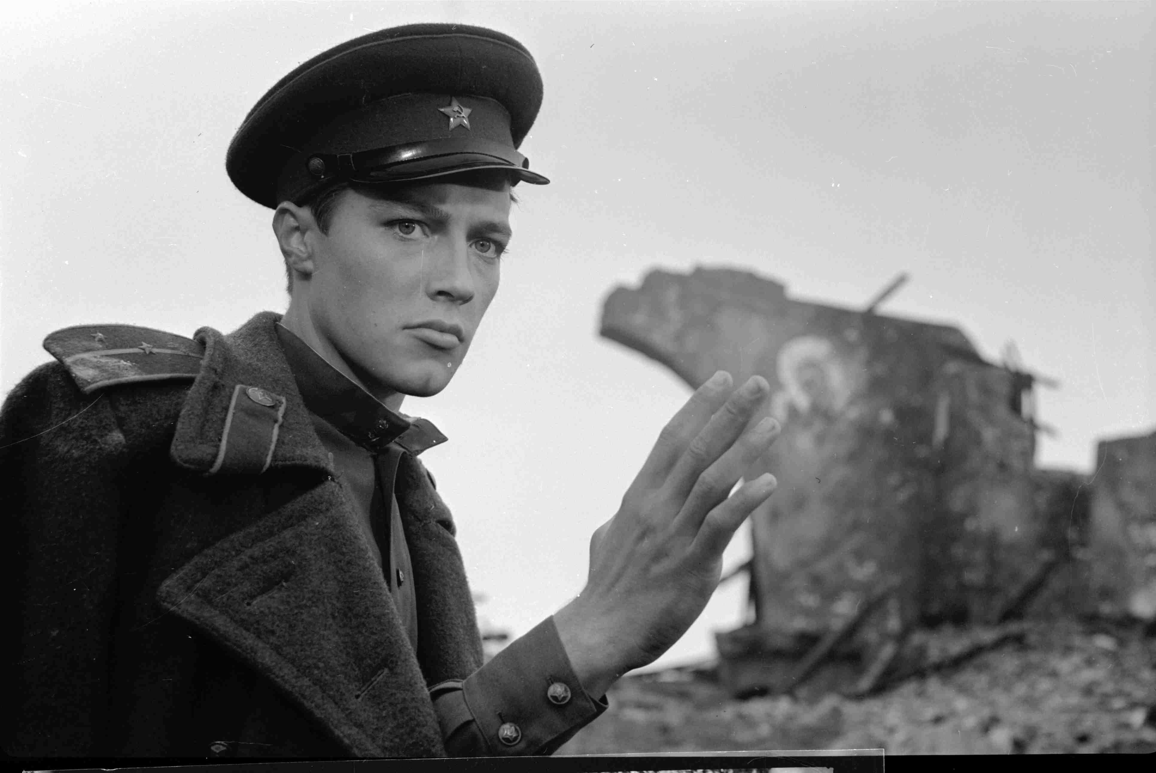 タルコフスキーナイト