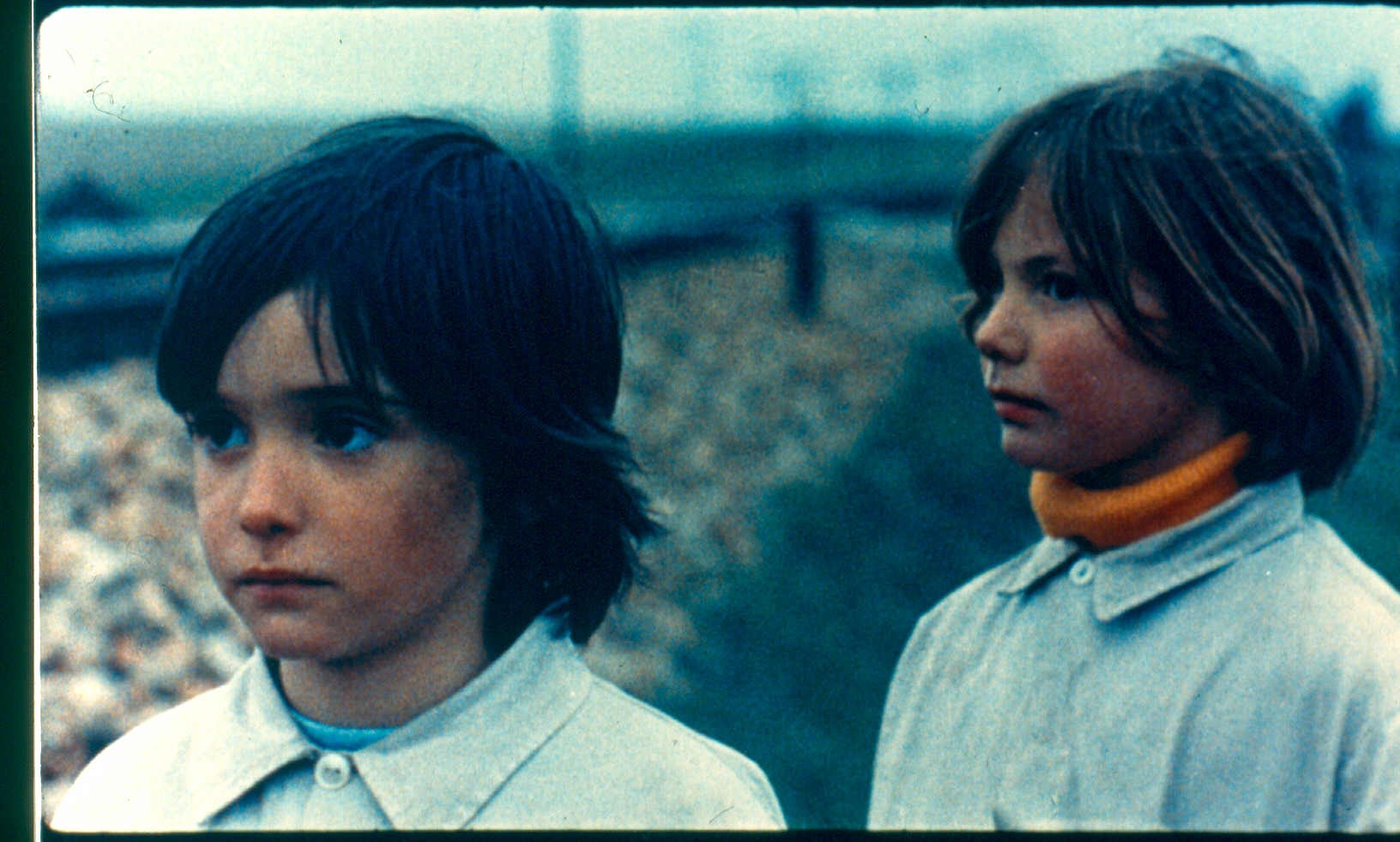 ミツバチのささやき