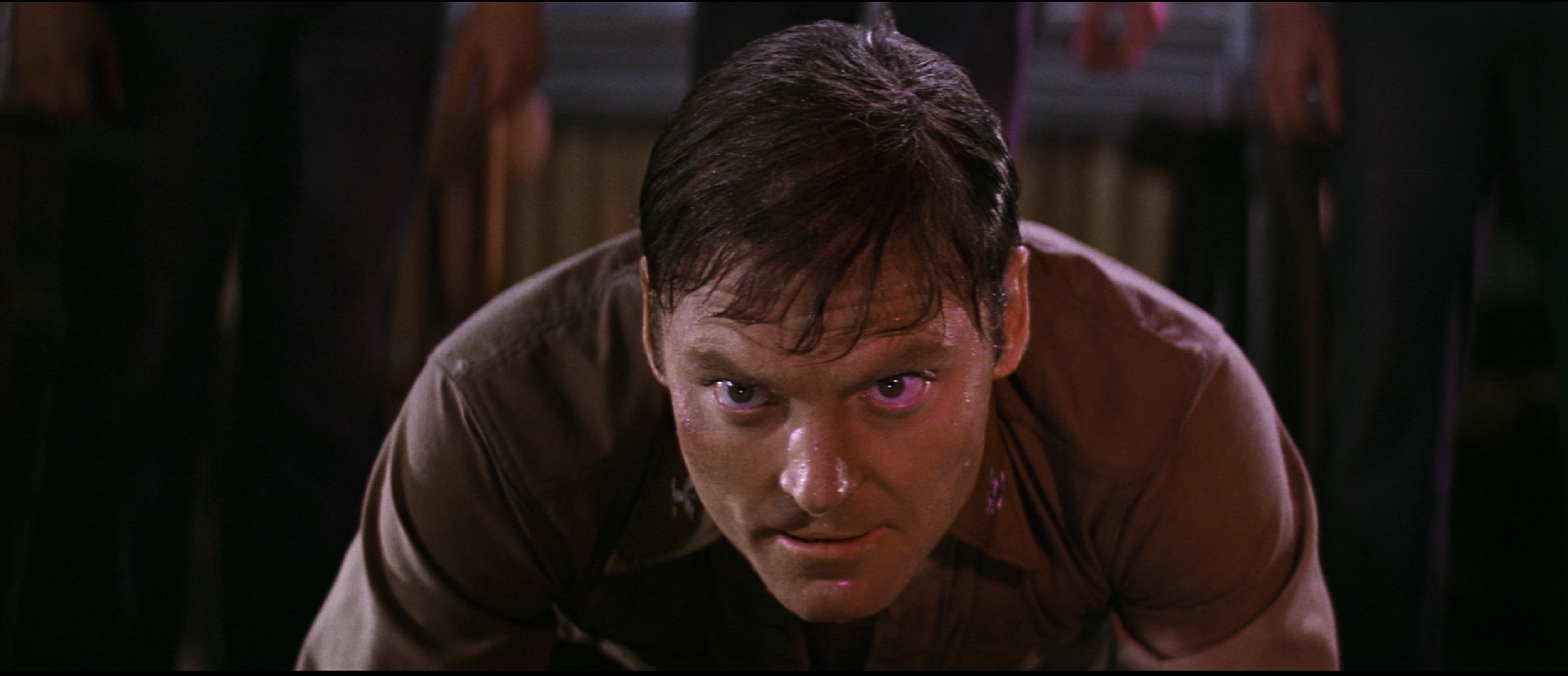 トゥインクル・トゥインクル・キラー・カーン